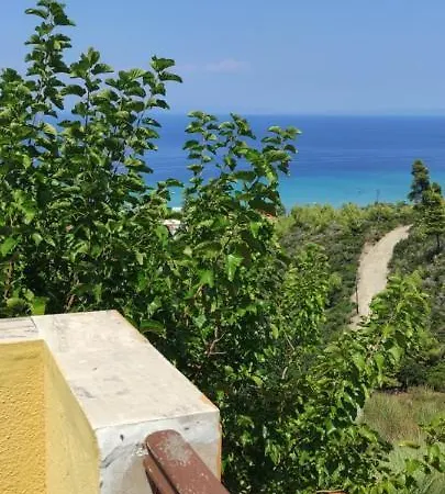 View In *