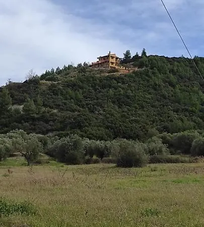 View In *