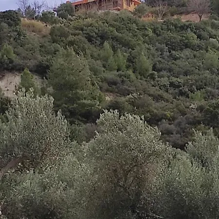 Feriehus View In Polychrono