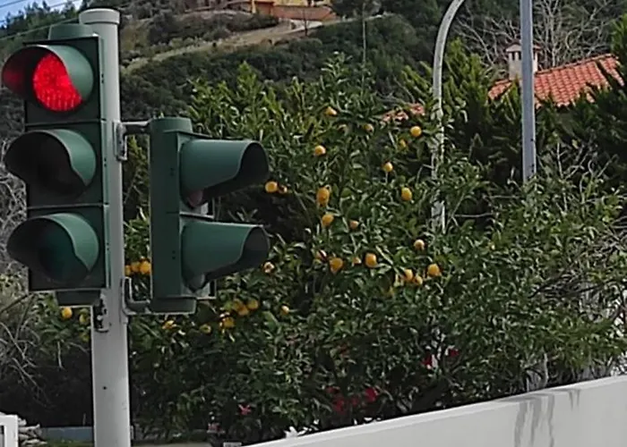 View In - Families Only * Πολύχρονο