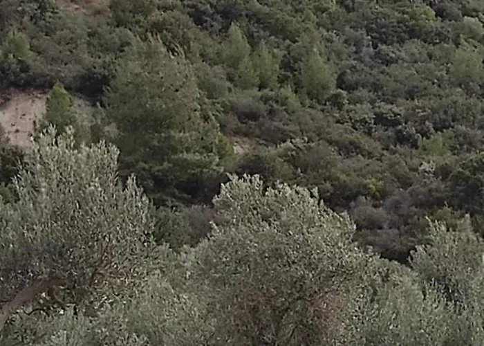 Σπίτι διακοπών View In - Families Only Πολύχρονο