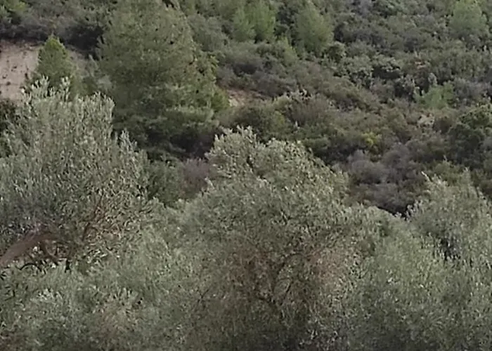 View In - Families Only * Πολύχρονο