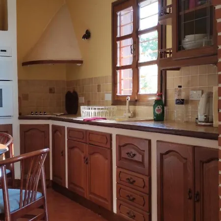 View In - Families Only Polychrono