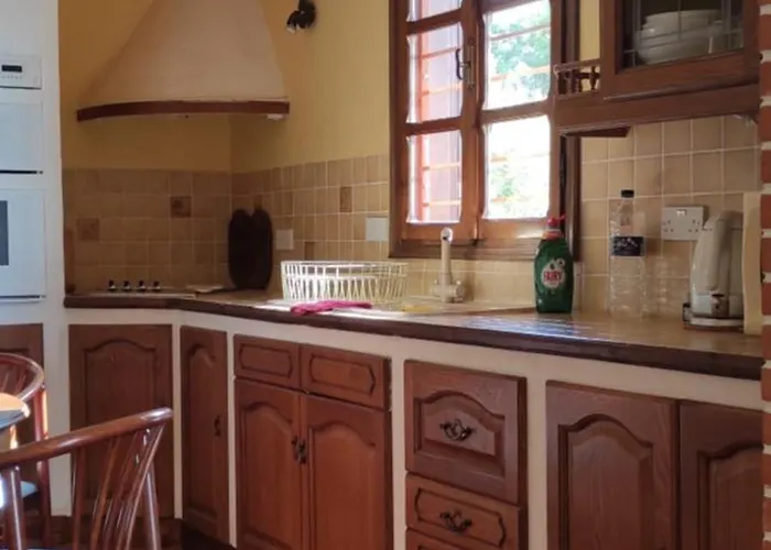 View In - Families Only Polychrono